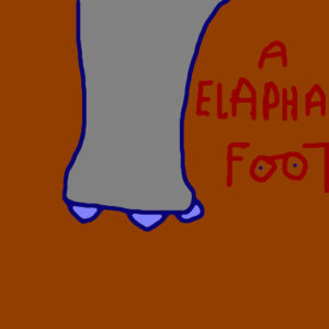 Elaphant Foot