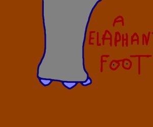 Elaphant Foot